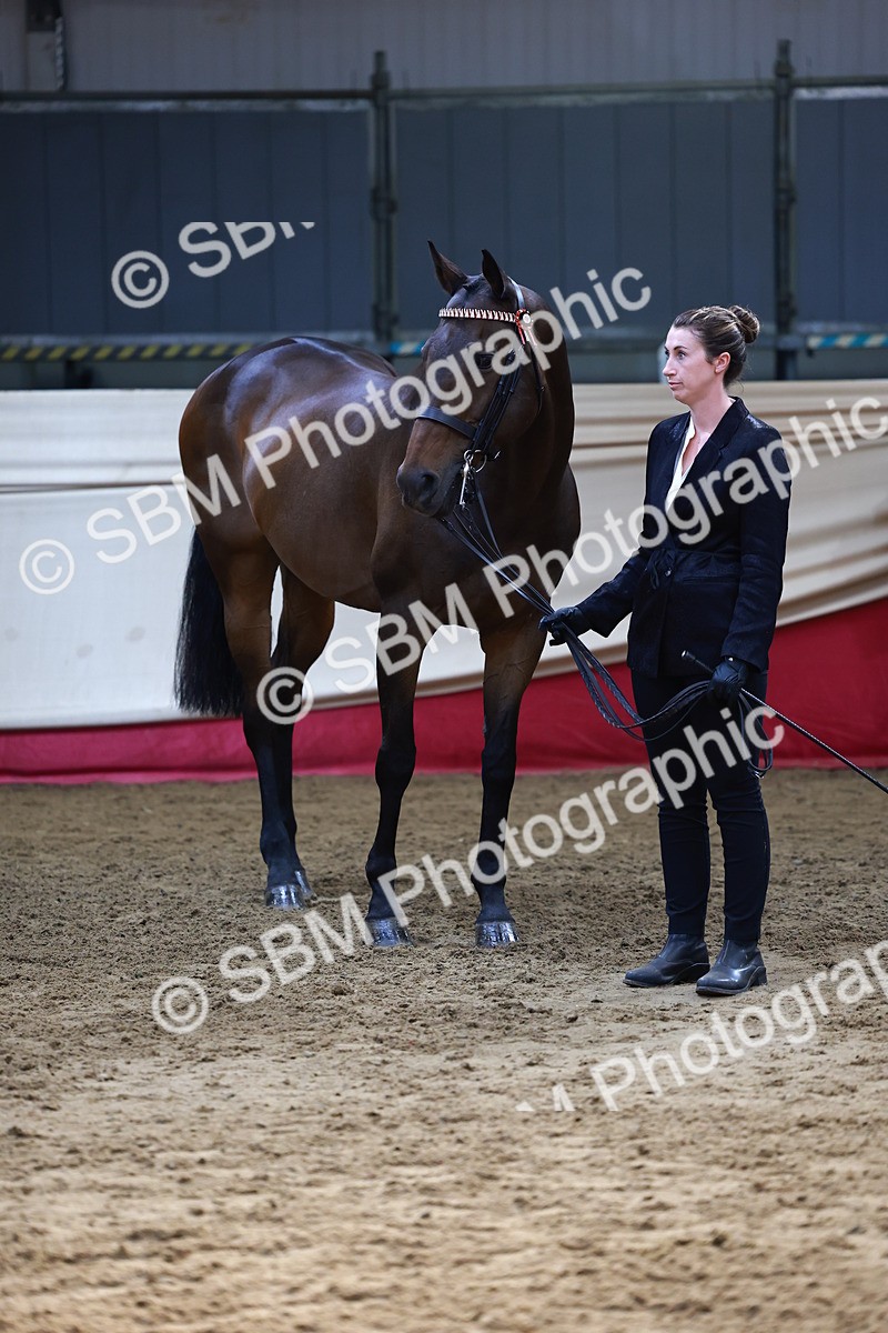 SBM_22384 - Class 902 - Supreme Final - IH Diamond