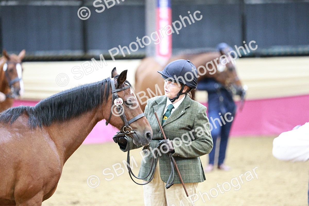 SBM_00290 - Class 1A - Area IH Diamond