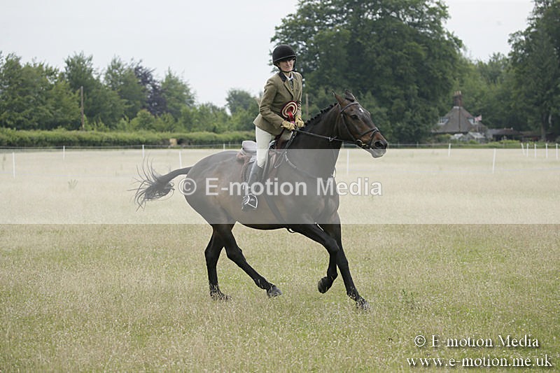 B230619-0987 - Bourne Valley Riding Club Summer Show 23/06/19
