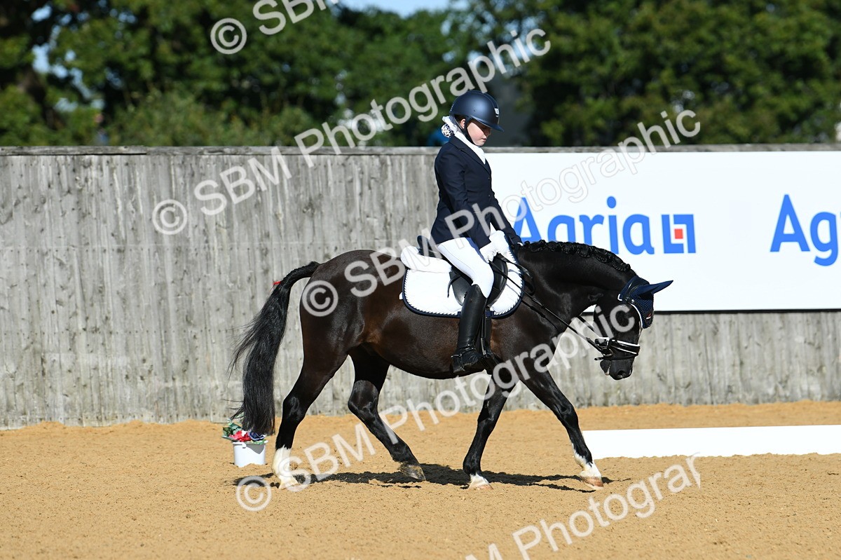 SBM_16324 - D4 - Small Tour Championship - Intro B