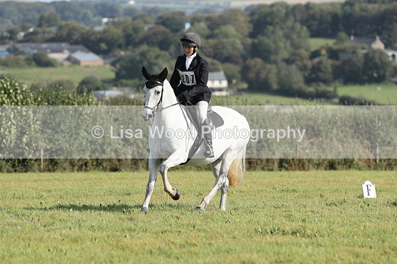 JPP_8083 - Class 2A: Trekenning Open: Dressage
