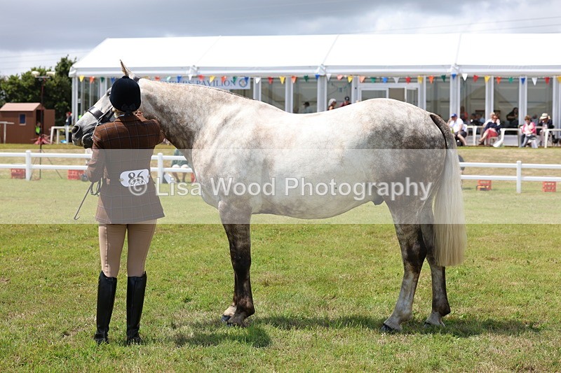 3E7A2153 - Class 10: Open Cob