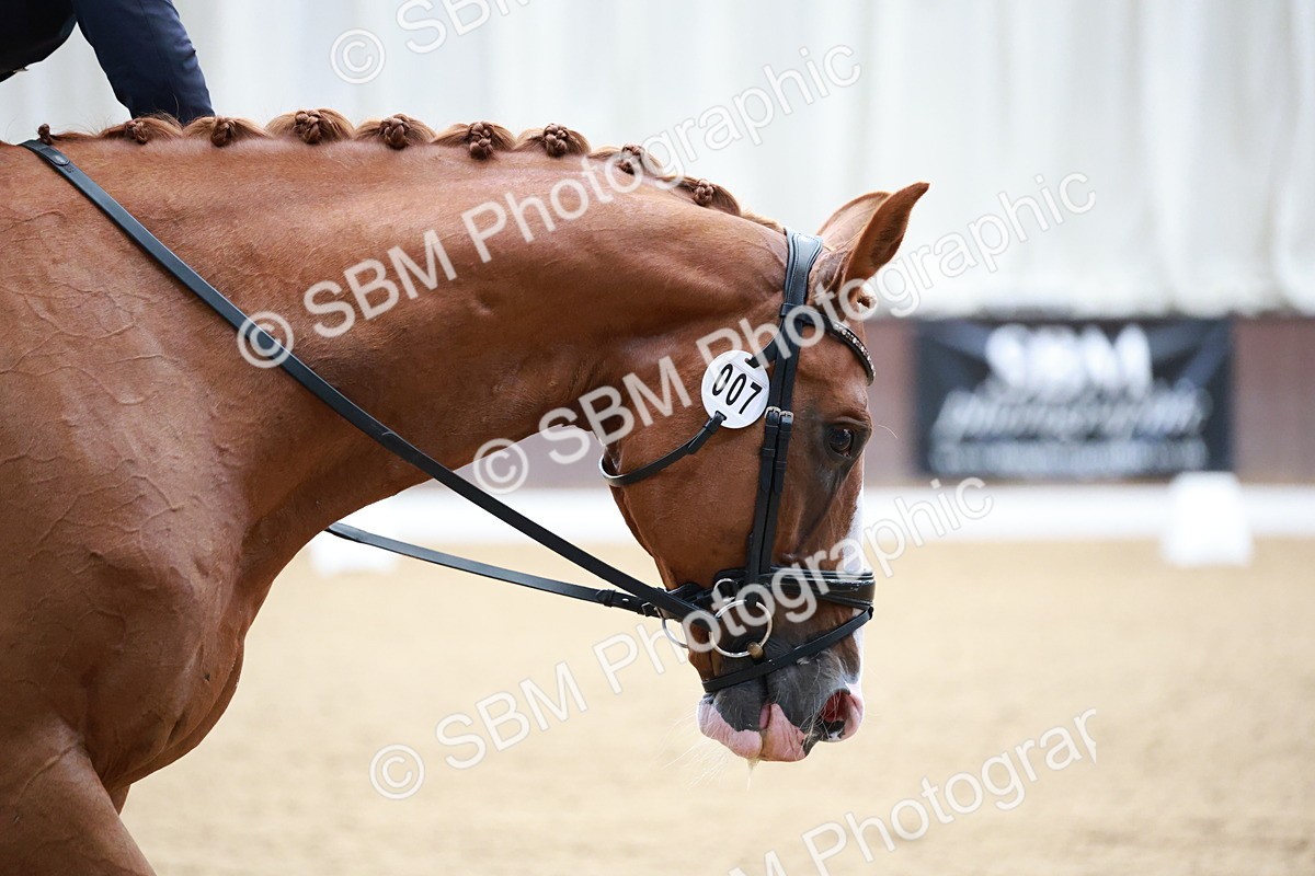 SBM_008722 - Class 14 - FEI PSG - 9.30-10.30