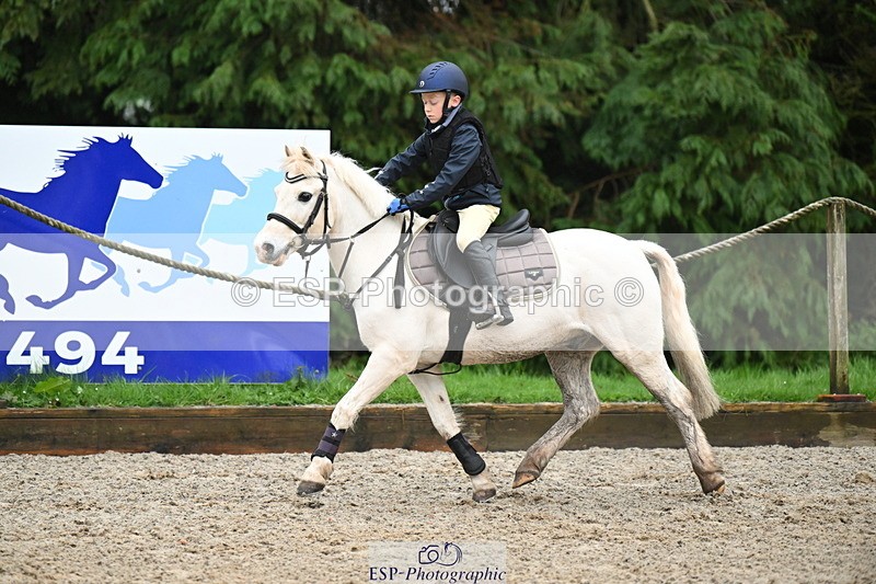 250418A-085726-00181 - NSEA GR 60cm