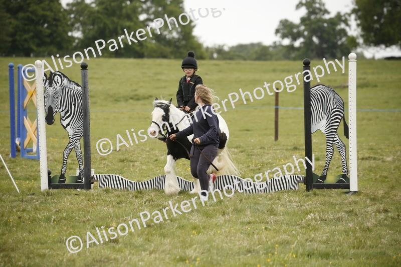 20250517-0231 - Class 1 - 30cm On Lead Rein
