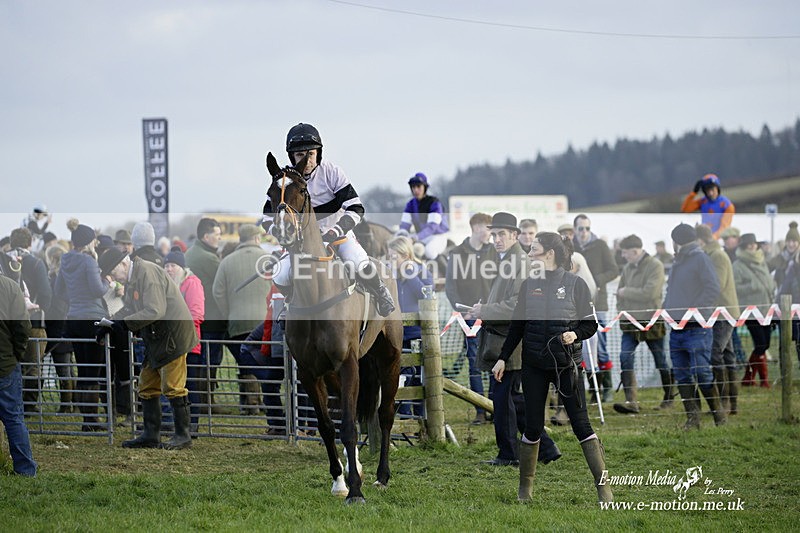 PtP 300122 602 - South Dorset Hunt - Point-to-Point Races 30/01/2022