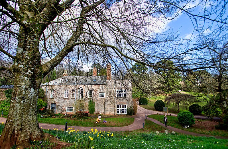 Springtime Cockington 5 - Cockington