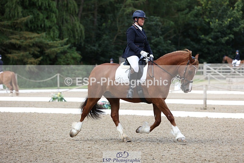 230813-095355-06171 - Cls 11 Elem Bronze Start to 10.50 break