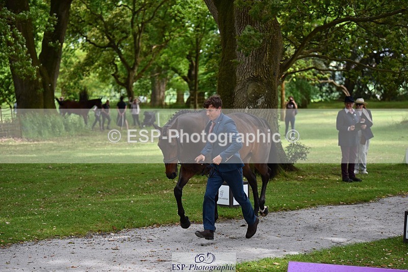 240522-150344-00065 - 303-KILLEENHOUSESTUD_OBOS_16-Tom_D_Crisp