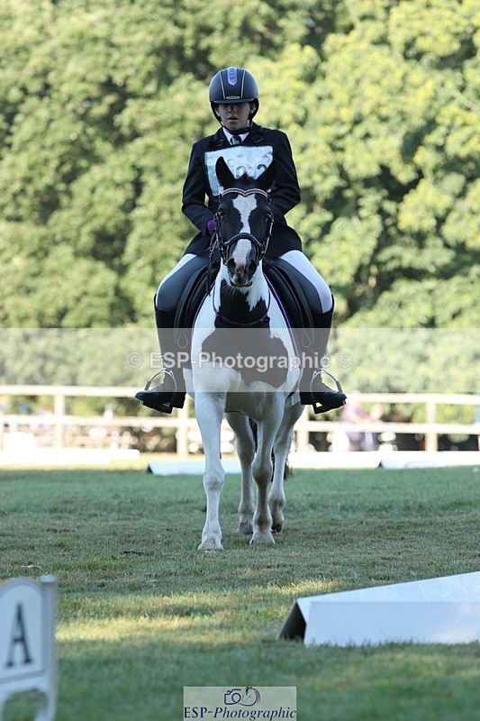 250823A-083739-25740 - Arena D