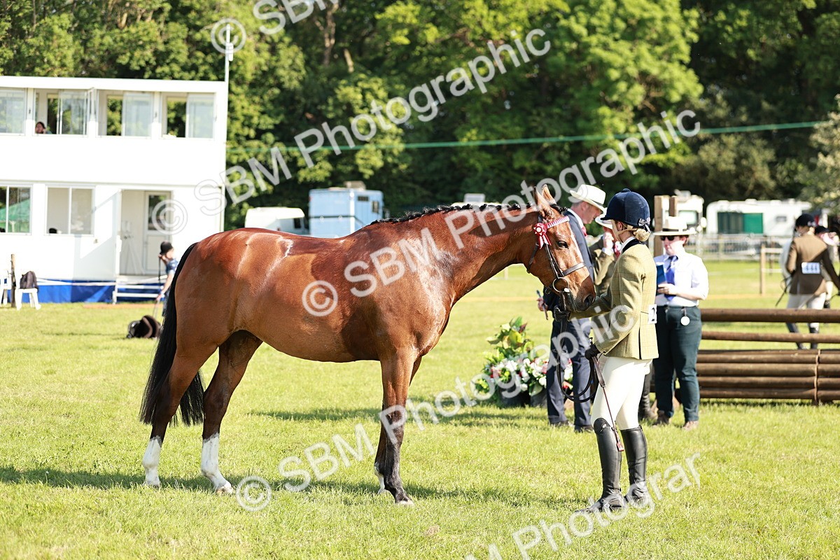 SBM_19302 - Class 115-116 - LIHS BSHA Rising Star Working Hunter & Show Horse