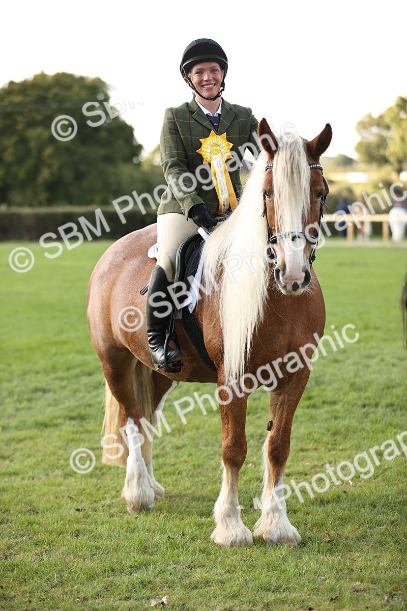 SBM_26486 - S6 - Novice & Newcomers Ridden Horse