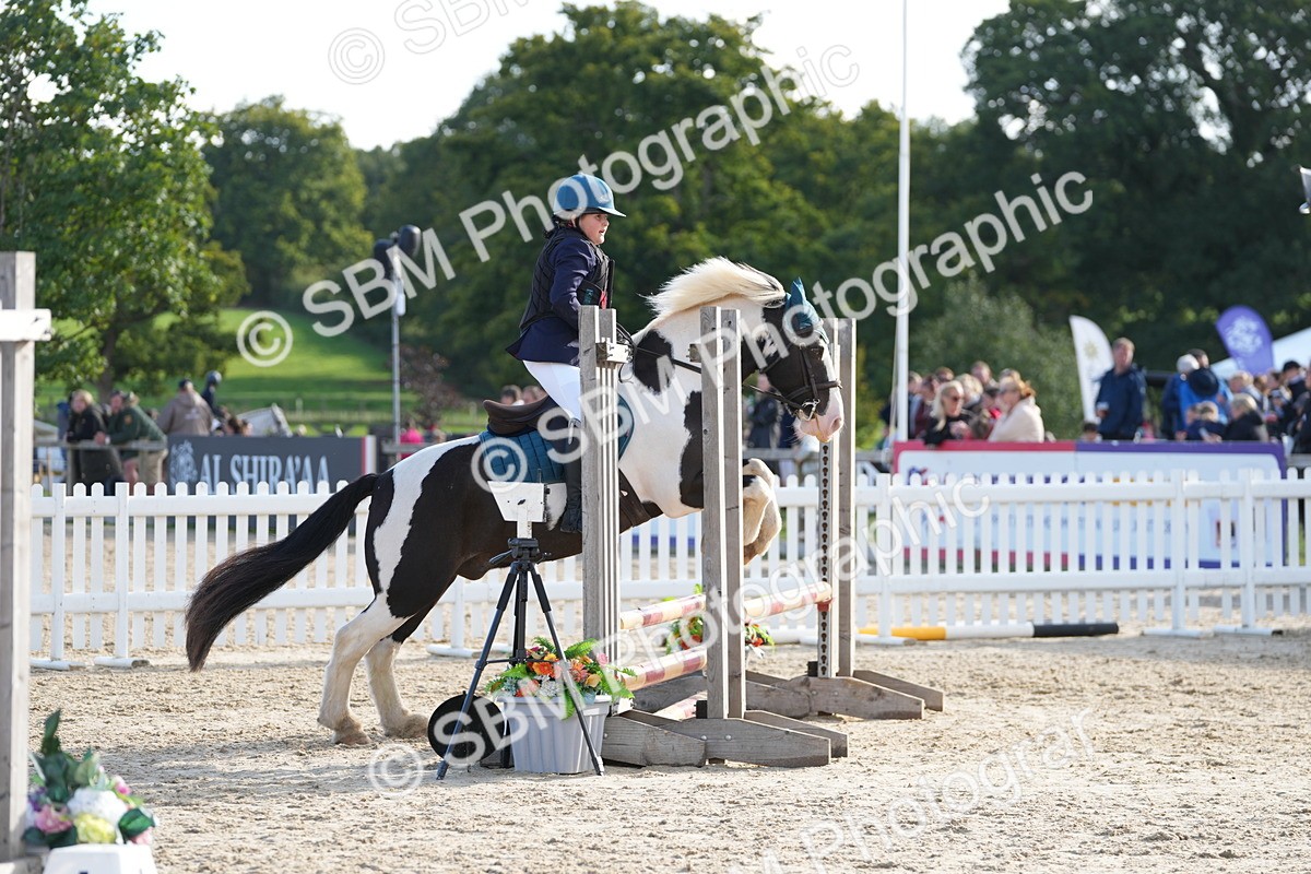 SBM_51039 - J8 - Junior Pony 65cm Championship
