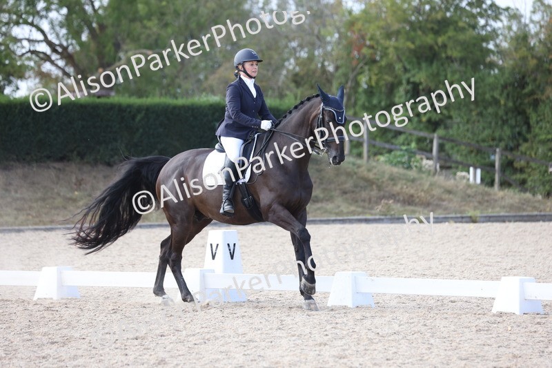 20250820-1580 - Class 21 - Advanced Medium 5