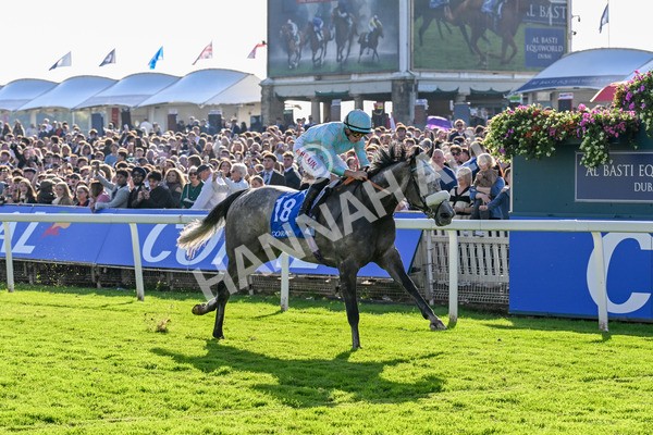 111025-Race 4-Binhareer-0470 - Race 4 Coral Sprint Trophy Handicap at York