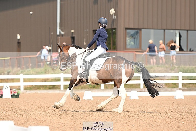 250816-140454-04997 - 050-Mollie.SheathTouch.Wood