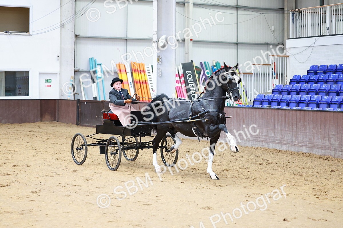 SBM_001021 - Class 13  - HHS Championship Intl Hackney Horse to a Show Wagon