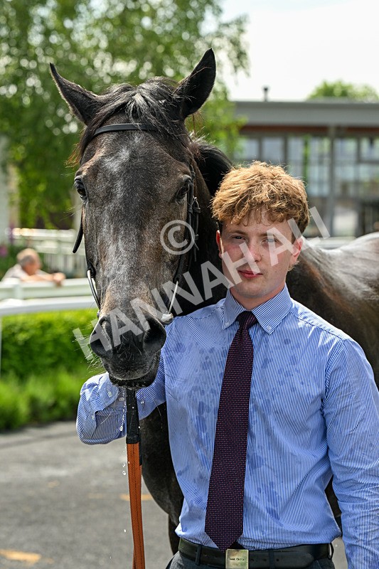 300526-Race 3-Mr Writer-0487 - Race 3 14.58pm Download The Raceday Ready App Maiden Stakes