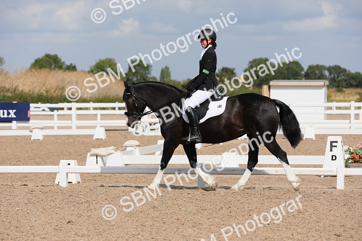 SBM_04167 - Class 31 Prelim 1