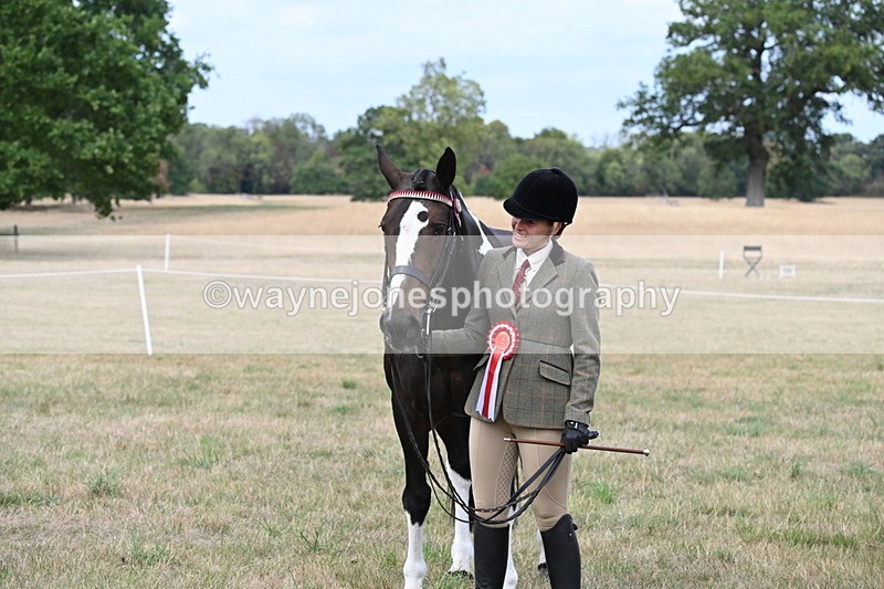 WJ6_6297 - Class 19 In-hand Veterans (Uploaded correct folder)