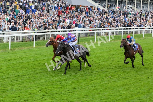 210824-Race 3-Los Angeles-7266 - Race 3 3.00pm Sky Bet Great Voltigeur Stakes
