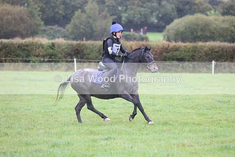 JPP_5161 - Class 1: 65cm : Showjumping