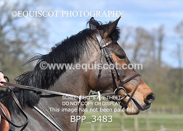 BPP_3483 - CLASS 6 Senior Newcomers/ 1.10m Open