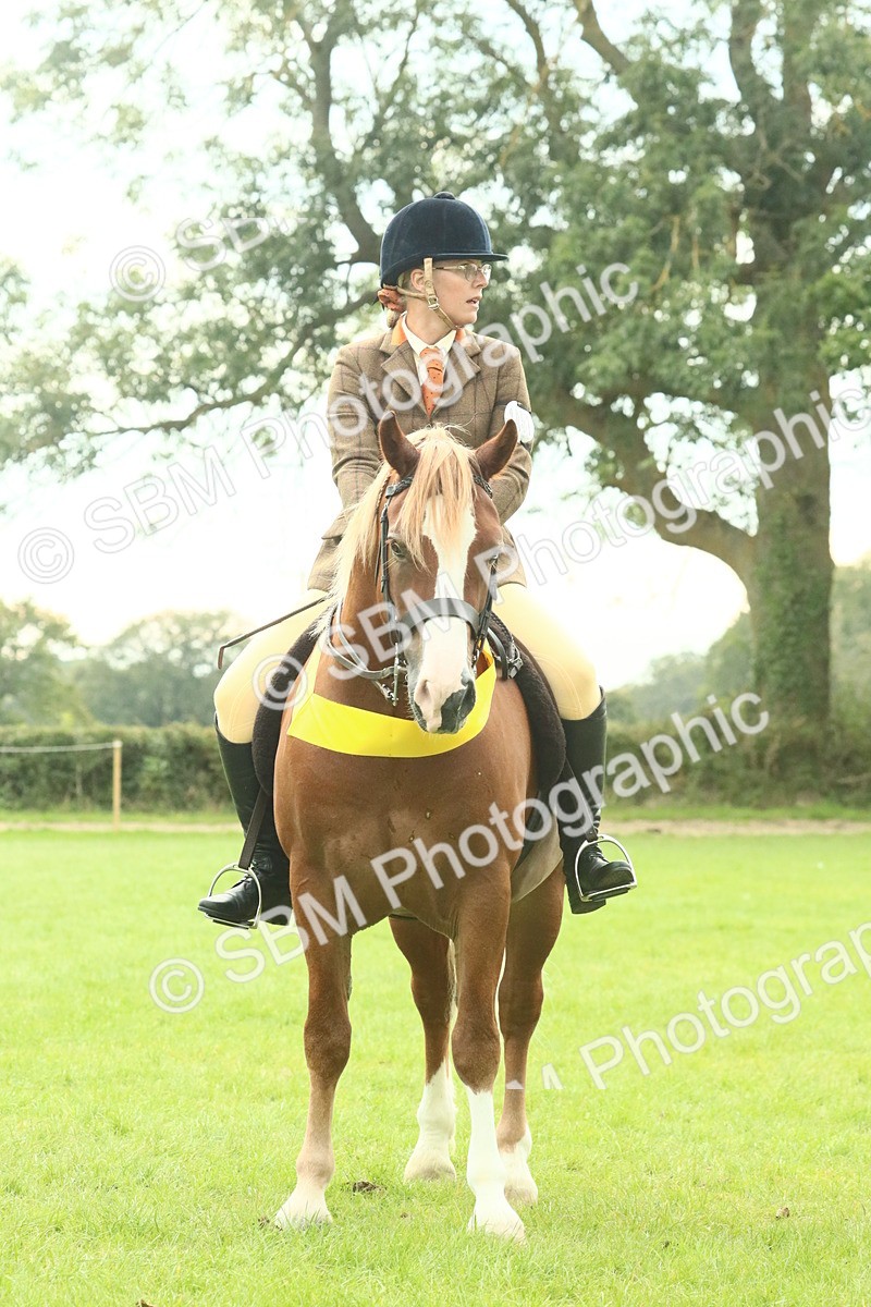 SBM_75046 - Ridden Pony Supreme Championship