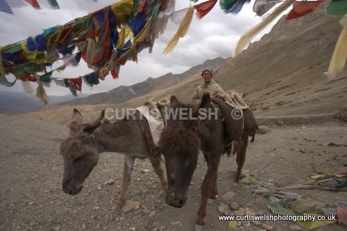 87 - LADAKH - INDIA