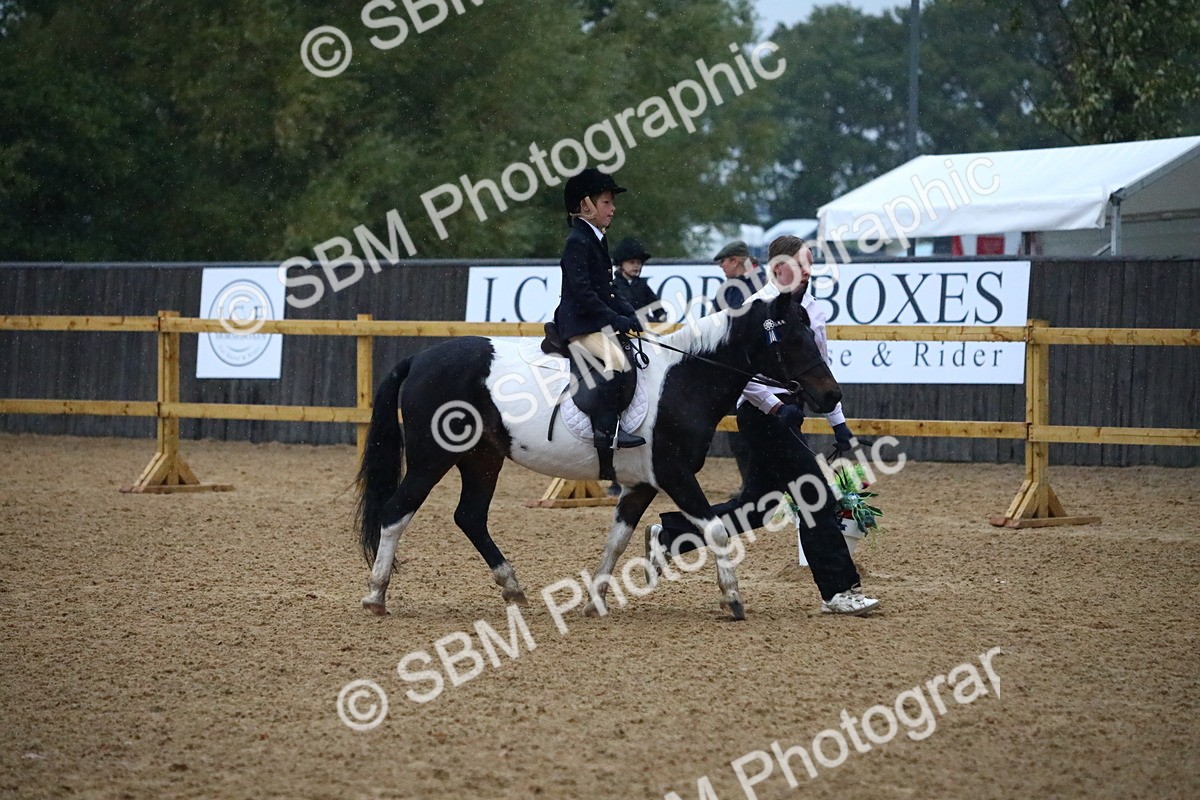 SBM_34680 - D26 - Starters Lead Rein