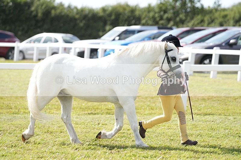 DSC07664 - Class 62: Child Handler