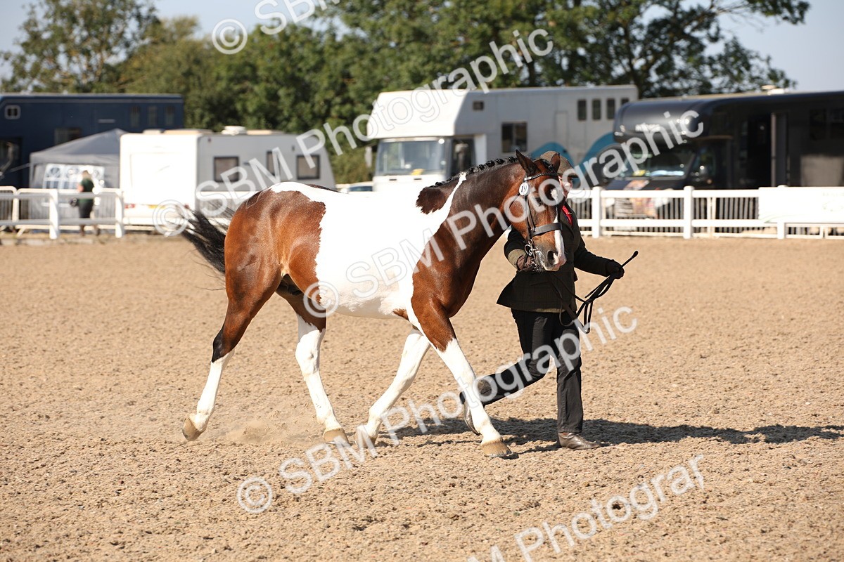 SBM_01521 - Class 15 IH Coloured