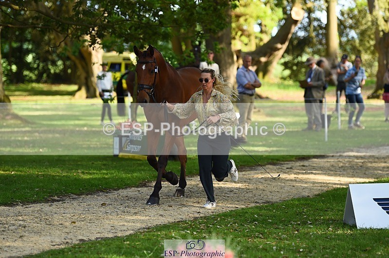 230524-171826-01419 - 177-ARGENTINO_BK-Dani_Evans-WEDTrotUp+DR