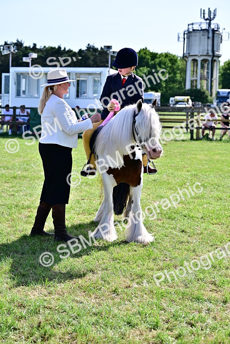 SBM_09442 - Class 63-65 - Traditional Gypsy Cobs In Hand & Ridden