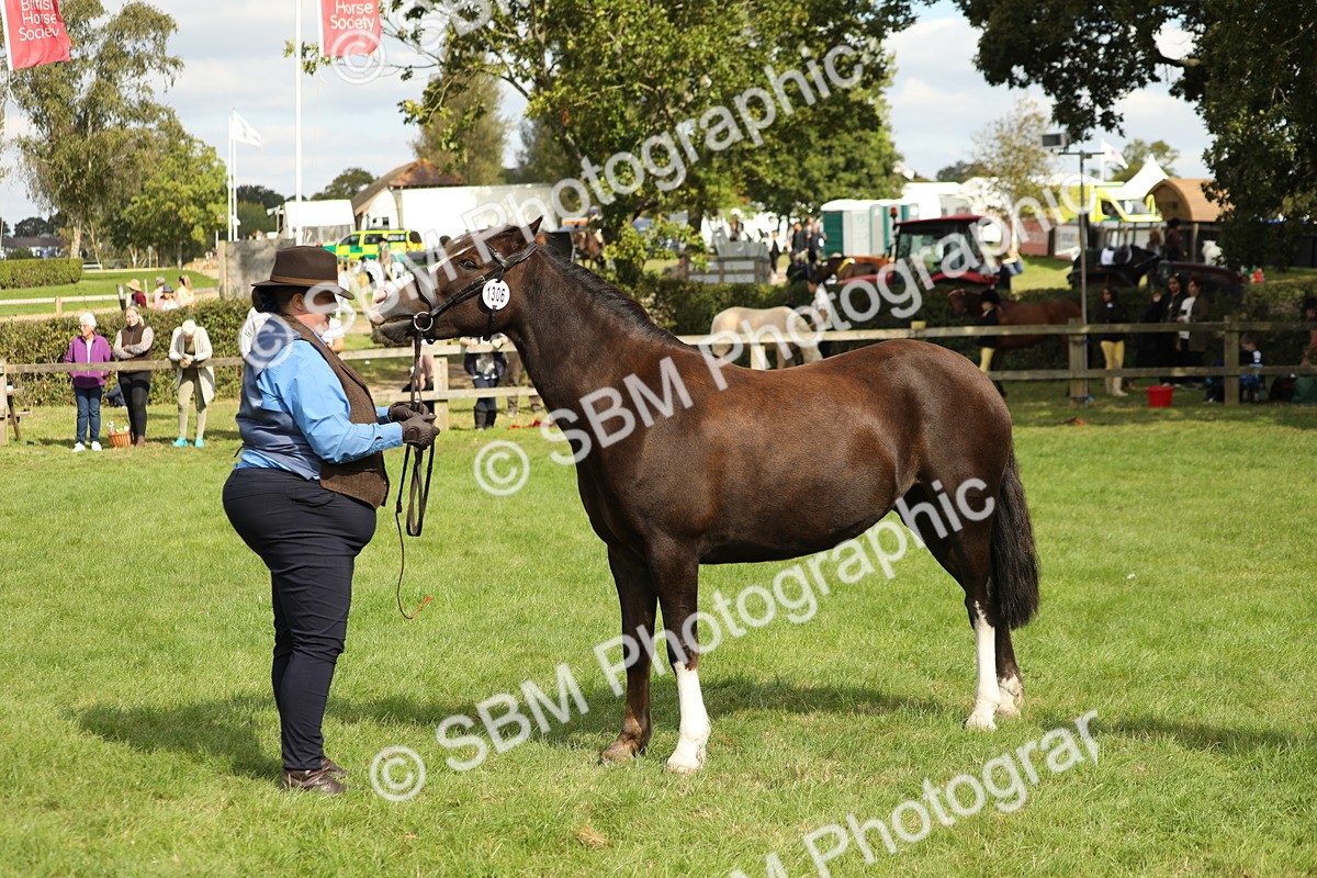SBM_65476 - S47 - Mountain & Moorland In Hand Large Breeds
