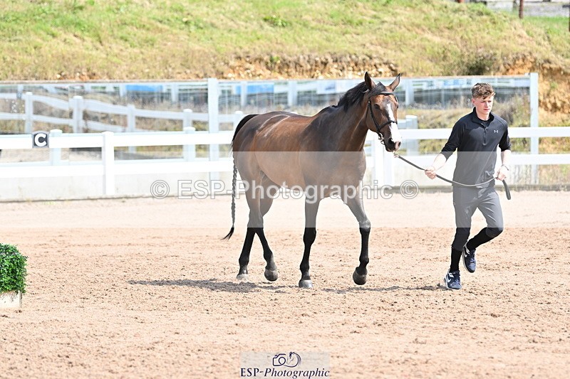 240717A-151901-02746 - Trot Up 3pm to 4pm