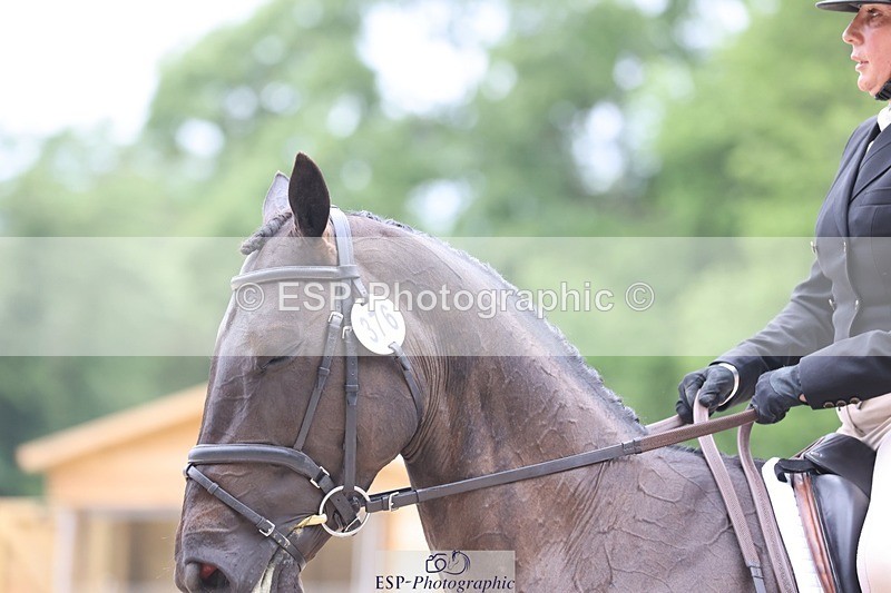 240524-170811-11226 - 376-STORM_BLUE_CURTIS-Phoebe_Buckley