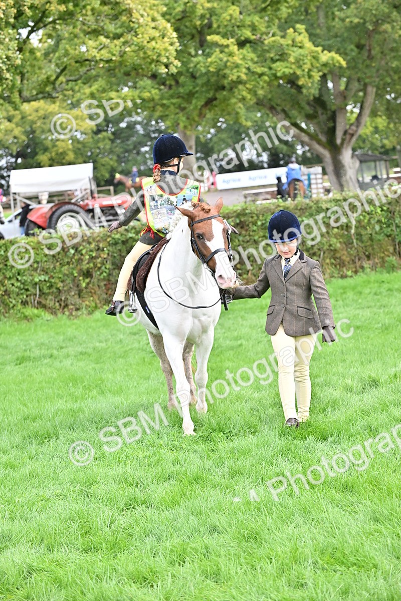 SBM_43060 - S12 - Family Horse & Pony