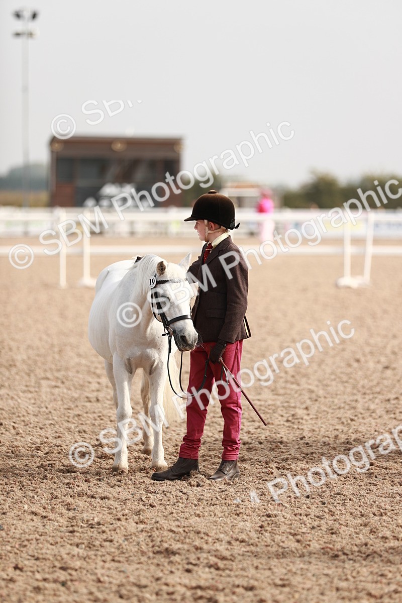 SBM_10590 - Class 204 Young Handler, 11-16 years