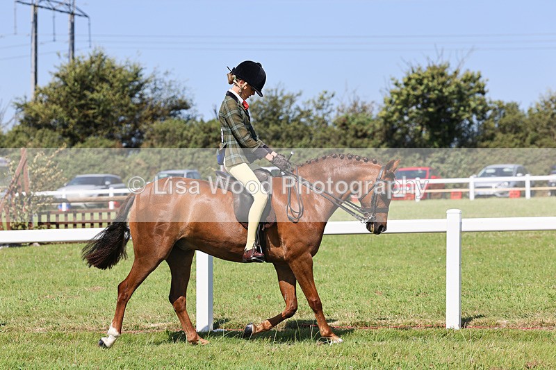 IMG_1990 - Class 34: Show Hunter Pony 153cm and under