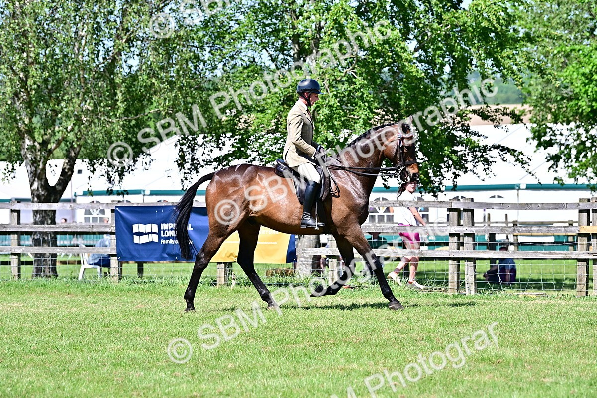 SBM_18224 - Class 99-100 - Retraining of Racehorses Ridden
