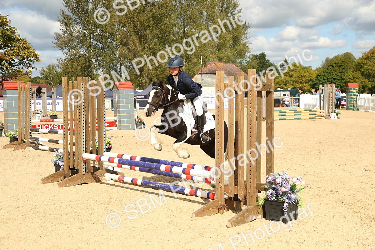 SBM_41382 - J6 - Junior Pony 55cm Championships