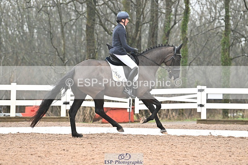 250215-115917-03308 - 165-Elder.Klatzko-Dynasty.Hit