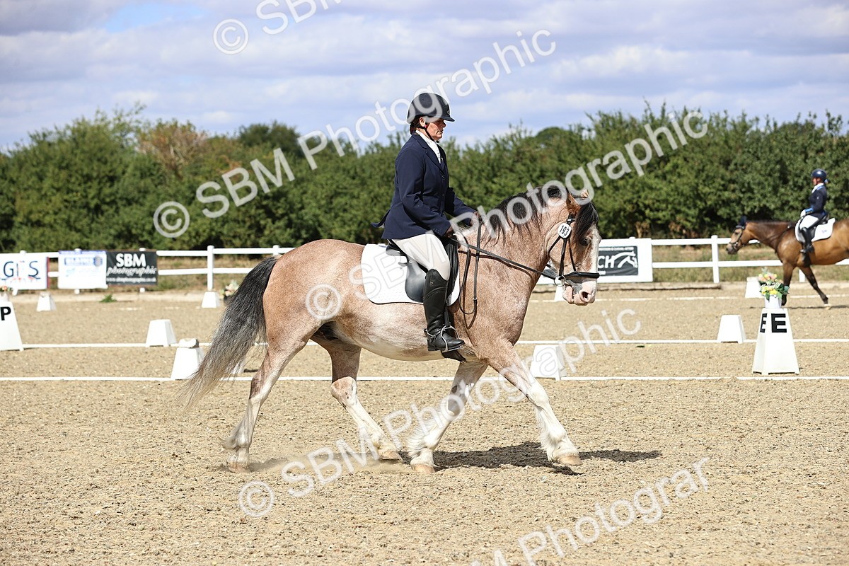 SBM_014574 - Class 5 - E5 Bronze 13.30.14.18