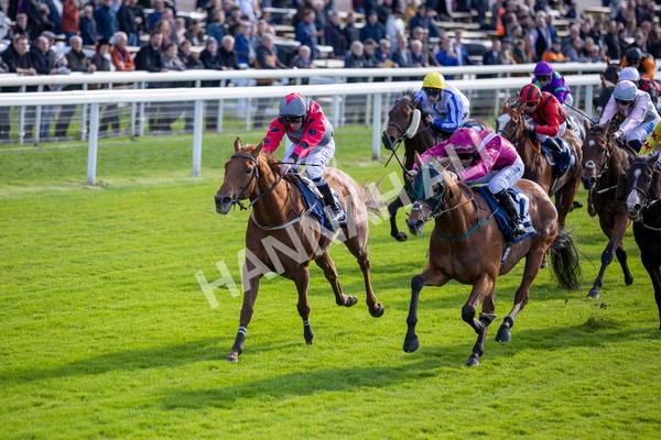 111024-Race 1-Empirestateofmind-6835 - Race 1 1.30pm William Hill Top Price Guarantee Autumn Handicap