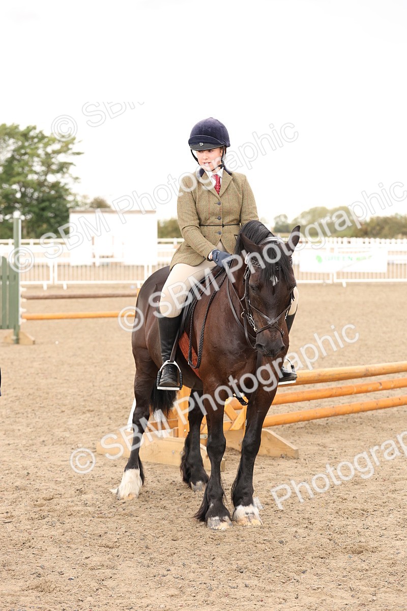 SBM_07540 - Class 59b -  Style & Performance - 80cm (20+)