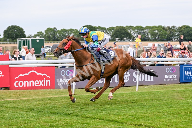 030726-Race 1-Sisterandbrother-0169 - Race 1 18.00pm Your Weekend Starts Here Apprentice Handicap