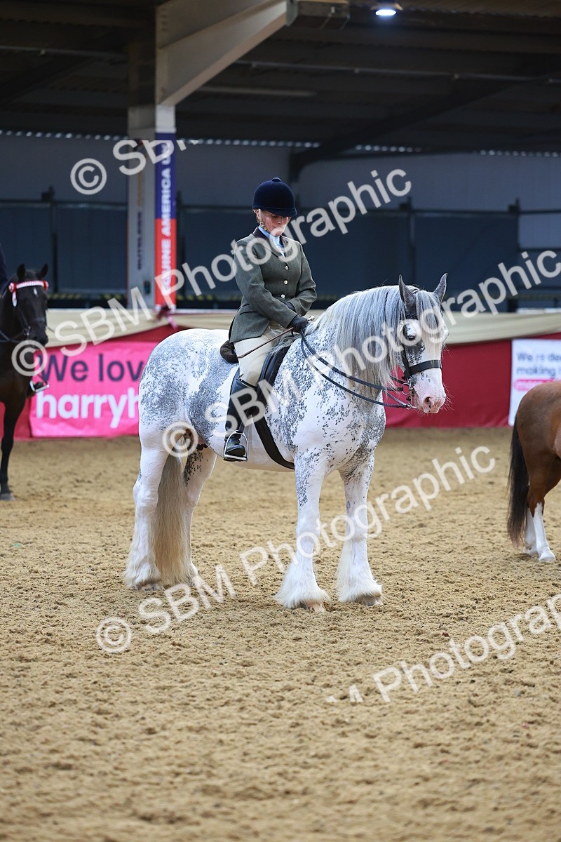 SBM_12653 - Class 103 - HOYS Veteran Qualifier - Ridden Pre Vet
