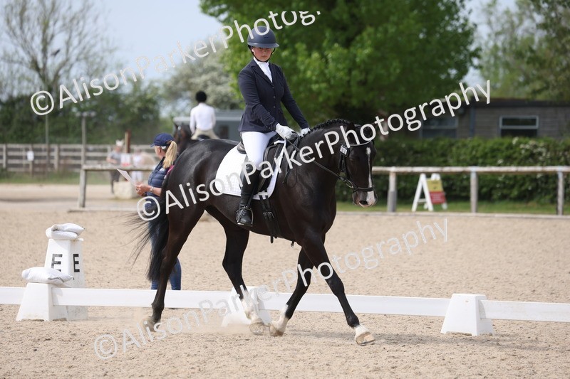 20260502-0899 - Class 7 - Novice 2