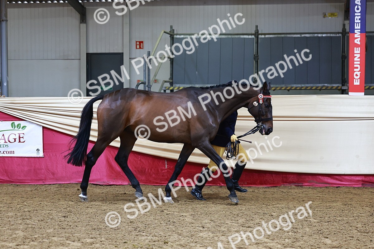 SBM_22112 - Class 902 - Supreme Final - IH Diamond